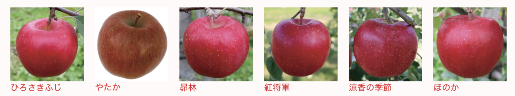 Phân biệt các loại táo ở Nhật